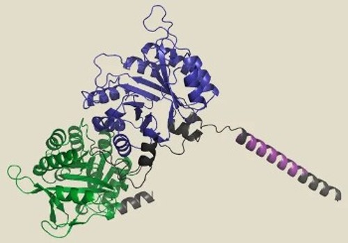 Απεικόνιση τρισδιάστατης αναδίπλωσης πρωτεϊνικού μορίου από το σύστημα Τεχνητής Νοημοσύνης AlphaFold2 της «DeepMind», που χρησιμοποιείται για την κατασκευή καινοτόμων φαρμάκων