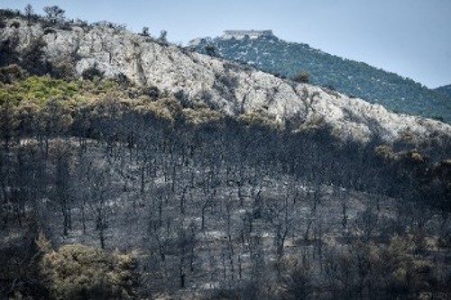 Το μαύρο κυριαρχεί στην Πάρνηθα