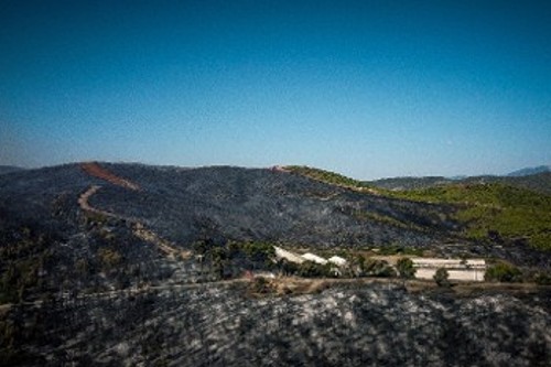 Δυστυχώς, για άλλη μια φορά, άλλο ένα τμήμα της πολύπαθους και άλλοτε καταπράσινης Εύβοιας έγινε στάχτη