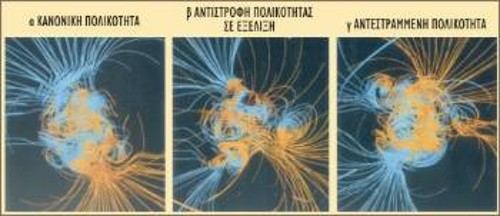 Το μοντέλο προσομοίωσης σε υπολογιστή δείχνει το πλέγμα των μαγνητικών δυναμικών γραμμών στον πυρήνα και το μαγνητικό δίπολο που τελικά εμφανίζεται στην επιφάνεια (μακριές γραμμές) 500 χρόνια πριν την αντιστροφή του μαγνητικού διπόλου (α), στο μέσο της αντιστροφής (β) και 500 χρόνια μετά την αντιστροφή (γ). Οι δυναμικές γραμμές είναι μια απλούστευση. Το πεδίο είναι συνεχές στο χώρο