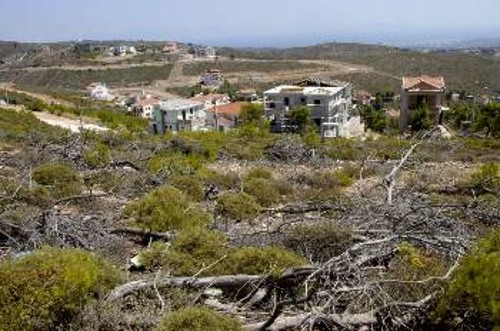 Ολόκληρη αυτή η πλαγιά στην οποία ήδη οι βίλες έχουν αρχίσει να χτίζονται, είναι μέρος της επίμαχης έκτασης που βγαίνει στο σφυρί