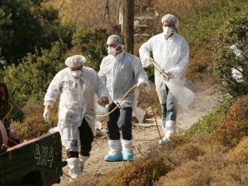Οινούσσες: Ειδικοί απολυμαίνουν το χώρο όπου βρέθηκαν νεκρές γαλοπούλες