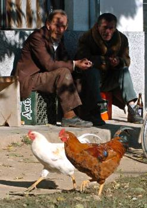 Κάτοικοι της ΠΓΔΜ κοιτούν σκεφτικοί τις κότες...