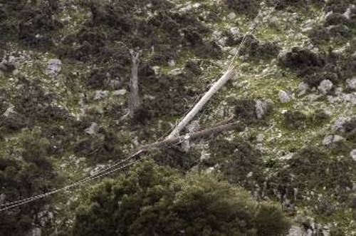 Στο δρόμο Αργοστολίου - Φισκάρδου, συνεργεία της ΔΕΗ συνεχίζουν τις εργασίες αποκατάστασης