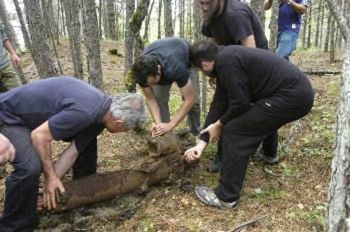 Οπου κι αν ψάξεις, τα χνάρια σε οδηγούν. Σε υλικό που πάνω του είναι εύκολο να διακρίνεις τον σύντροφο που το τουφέκι έγινε συνέχεια του χεριού του...