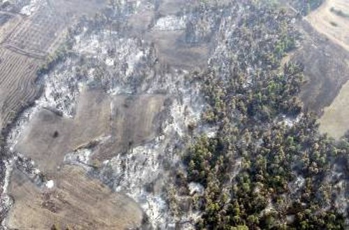 Κρανίου τόπος η Κασσάνδρα