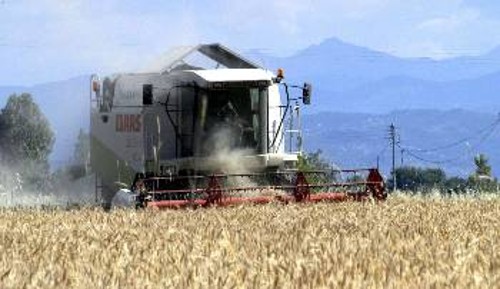 Σοβαρό πλήγμα προκάλεσαν οι πολιτικές της ΚΑΠ και στους σιτοπαραγωγούς