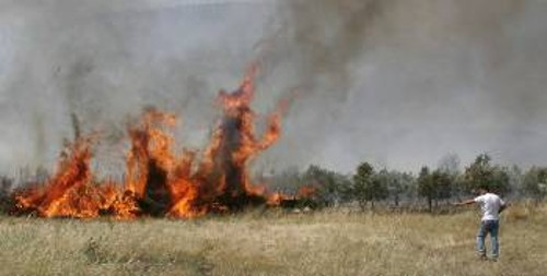 Η πύρινη λαίλαπα προκάλεσε τεράστιες ζημιές στις αγροτικές καλλιέργειες