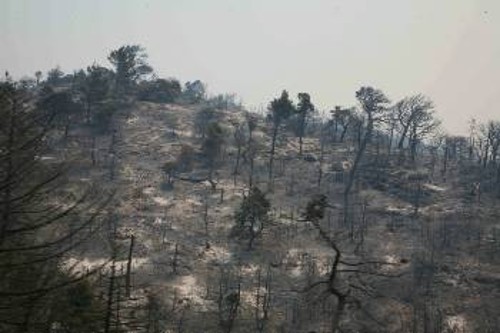 Πάρνηθα. Μετά τις πυρκαγιές έρχεται η εμπορευματοποίηση