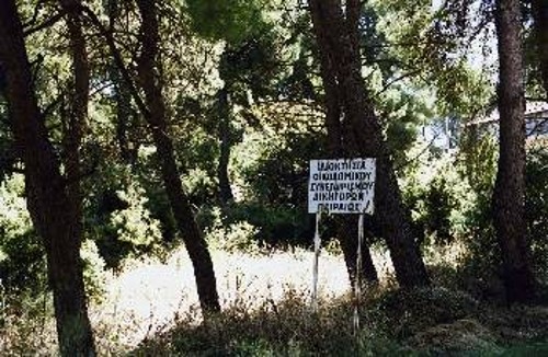 Οι Οικοδομικοί Συνεταιρισμοί έχουν ήδη βάλει ταμπέλες μέσα στο δάσος. Τώρα περιμένουν την κατάλληλη ευκαιρία