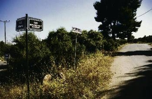 «Μαραθωνοδρόμου Φειδιππίδου» και «Αλκυόνης» γωνία! Οι δασικοί δρόμοι έχουν ασφαλτοστρωθεί