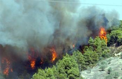 Οι πυρκαγιές μαίνονται σε περισσότερες από 70 περιοχές της χώρας και κάνουν στάχτη δασικές εκτάσεις και καλλιέργειες