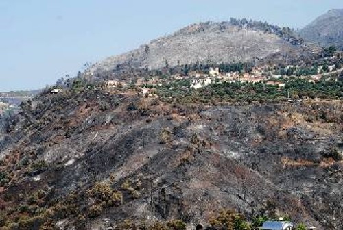 Εκατοντάδες χιλιάδες στρέμματα καλλιεργειών καταστράφηκαν