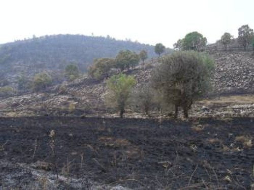 Ανάμεσα στην Κρυσταλλοπηγή και την Ιεροπηγή, η καταστροφή είναι τεράστια