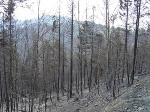 Στο δρόμο για την Κοτύλη...