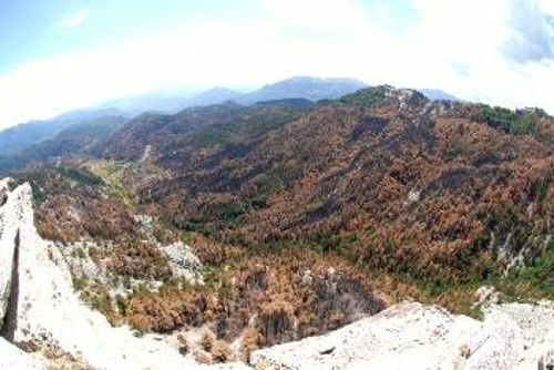 Ολη η ρεματιά κάτω από τα βράχια της Σπανούρας, δεξιά στο Ξεκομμένο και αριστερά στο βάθος ως και την Παλιόστρουγκα καμένη