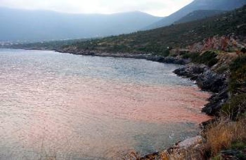 Καφέ νερά εμφανίστηκαν μετά το σεισμό, στη θάλασσα, στην παραλία Λεωνιδίου, όπως και στις πηγές Λέρνας (κάτω φωτογραφία)