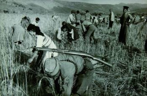 Μάχη της σοδειάς. Θεσσαλία 1944. Φωτογραφικό Αρχείο Μουσείου Μπενάκη