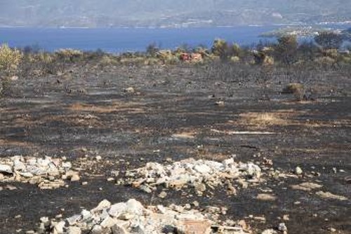 Καμένη έκταση στις Κεχριές Κορίνθου με ...θέα τη θάλασσα