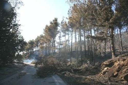 Ο,τι αφήνει πίσω της η φωτιά