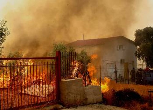 Ολοένα και πληθαίνουν οι καταγγελίες που δείχνουν ότι η κόλαση στην Ανατολική Αττική ήταν οργανωμένο σχέδιο εμπρηστών