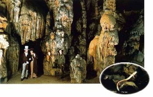 Τα σπήλαια της Ποστόινα είναι τα δεύτερα μεγαλύτερα σε μέγεθος σπήλαια της Ευρώπης