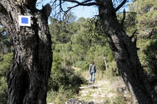 Οι νέοι θα έχουν τη δυνατότητα να περιηγηθούν στο βουνό και να χαρούν τη φύση