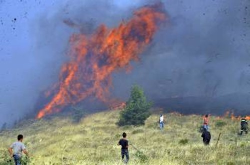 ΜΙΚΡΟΧΩΡΙ ΚΑΠΑΝΔΡΙΤΙΟΥ