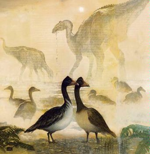 Εικαστική απεικόνιση του πουλιού Βεγκάβις πλάι πλάι με τους δεινόσαυρους του τέλους της Κρητιδικής περιόδου