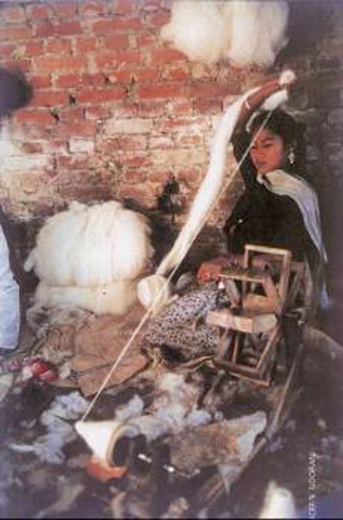 Κορίτσι που εργάζεται σκληρά σε ταπητουργία του Νεπάλ