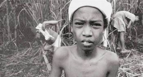 Παιδιά - σκλάβοι σε φυτείες στις Φιλιππίνες