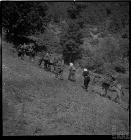 Γυναίκες στον ανεφοδιασμό των δυνάμεων του ΔΣΕ