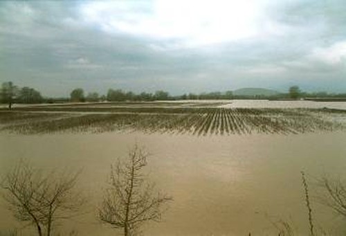 Πλημμυρισμένα χωράφια στην Καρδίτσα