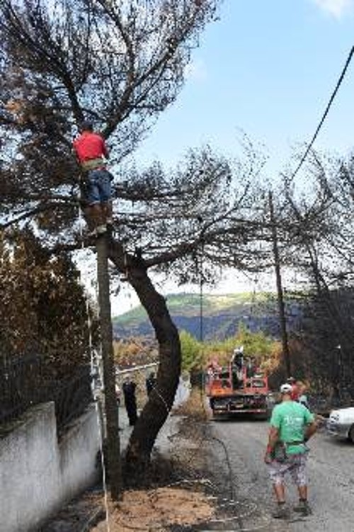 Από εργασίες αποκατάστασης της ΔΕΗ στην περιοχή