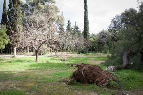 Η εικόνα εγκατάλειψης του πάρκου πάει μαζί με το διογκωμένο πρόβλημα των ναρκωτικών