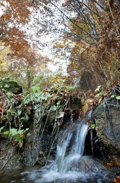 Εικόνα που φαντάζει απίστευτη