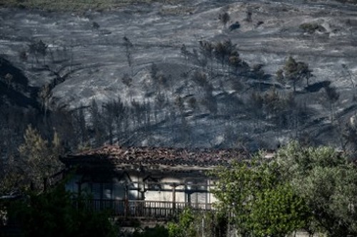 Το μαύρο τοπίο δεσπόζει στα Γεράνεια στην περιοχή πάνω από το Αλεποχώρι, εκεί όπου υπήρχε παρθένο δάσος