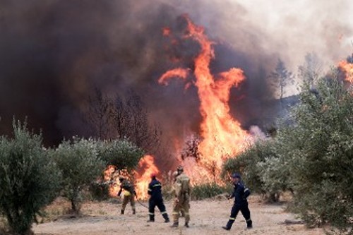 Η πρόσφατη πυρκαγιά στην Ηλεία προκάλεσε τεράστιες καταστροφές σε δάση, περιουσίες και καλλιέργειες