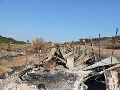 Κατεστραμμένη στάνη στο Θύριο