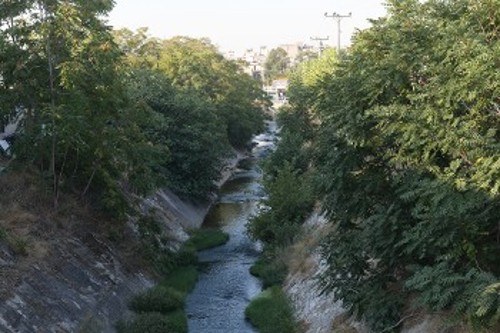 Δεν έχει γίνει καμία διευθέτηση της πυκνής βλάστησης μέσα και γύρω από το ποτάμι