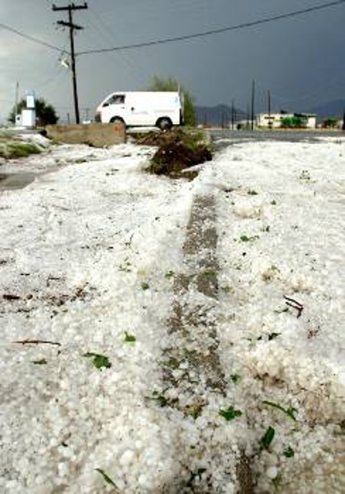 Η... χειμωνιάτικη εικόνα της 13ης του Ιούνη στον Πλατύκαμπο, όπου οι καλλιέργειες καταστράφηκαν από το χαλάζι και την ανεμοθύελλα