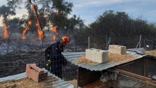 Από την πυρκαγιά στη Λευκίμμη Κέρκυρας